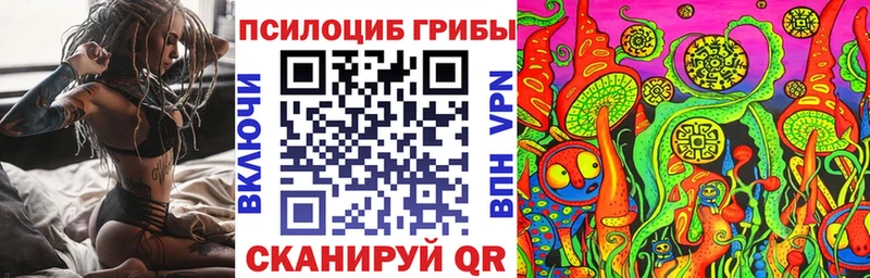 мега как войти  Тимашёвск  Псилоцибиновые грибы прущие грибы 